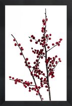 JUNIQE - Poster in houten lijst Red Berries 2 -30x45 /Rood & Wit