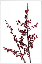 JUNIQE - Poster in kunststof lijst Red Berries 2 -40x60 /Rood & Wit