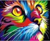 Schilderenopnummers.com® - Schilderen op nummer volwassenen - Colourful Cat - 50x40 cm - Paint by numbers