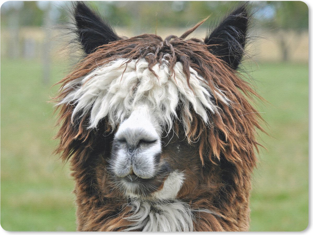 Muismat 23x19 cm - Mousepad Alpaca - Vacht - Bruin - Muismatten