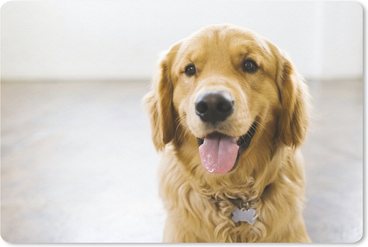 Muismat Golden Retriever - Portret van een super mooie Golden Retriever muismat rubber - 60x40 cm - Muismat met foto
