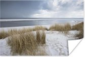 Duinen met strandgras voor de Noordzee poster 180x120 cm - Foto print op Poster (wanddecoratie woonkamer / slaapkamer) / Zeeën en meren Poster / Zee en Strand XXL / Groot formaat!