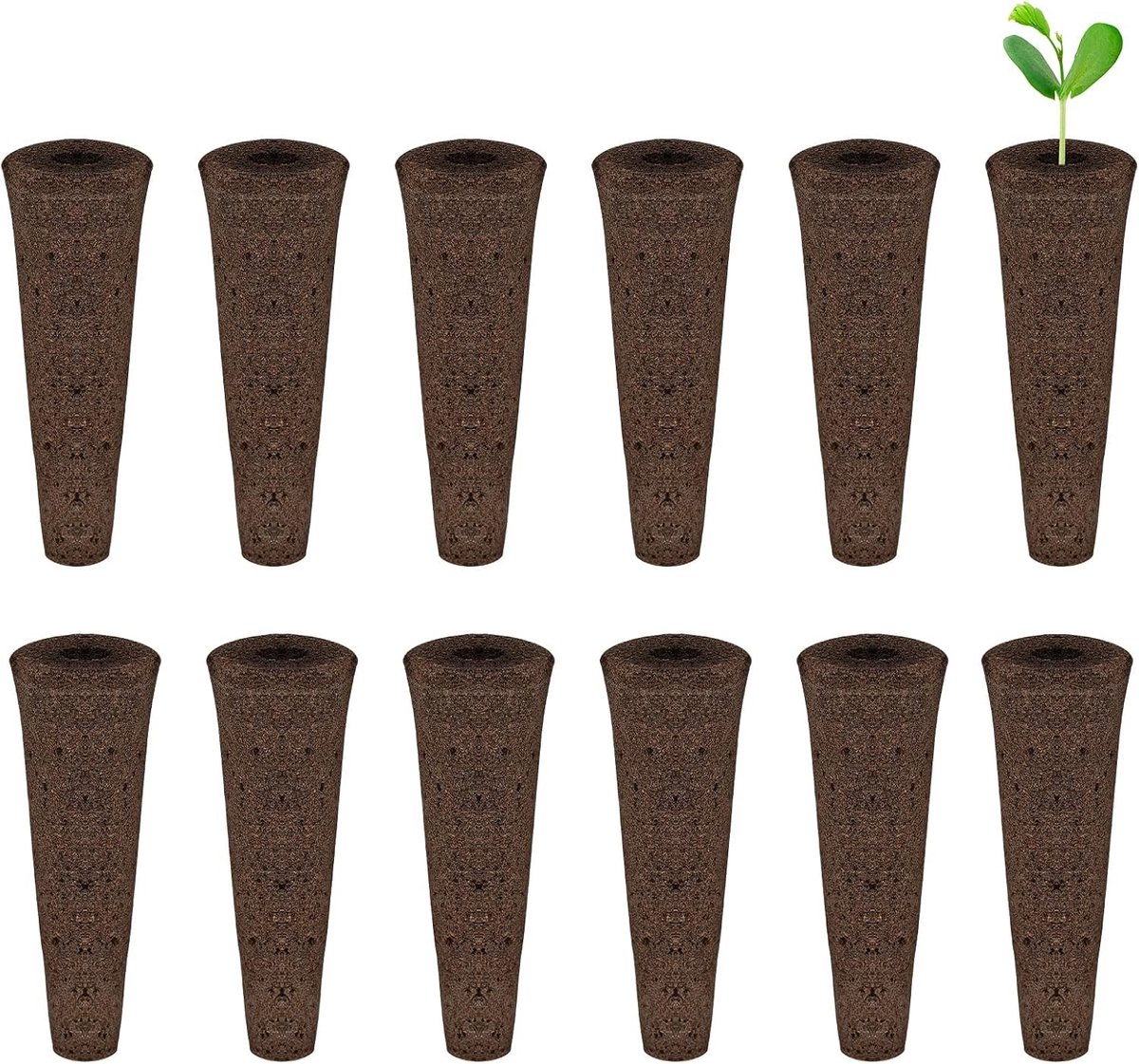 Hydroponic kweeksysteem - Bruine kweeksponzen - 5,5 cm lang - Veenmos turf - Voor binnen plantenstart