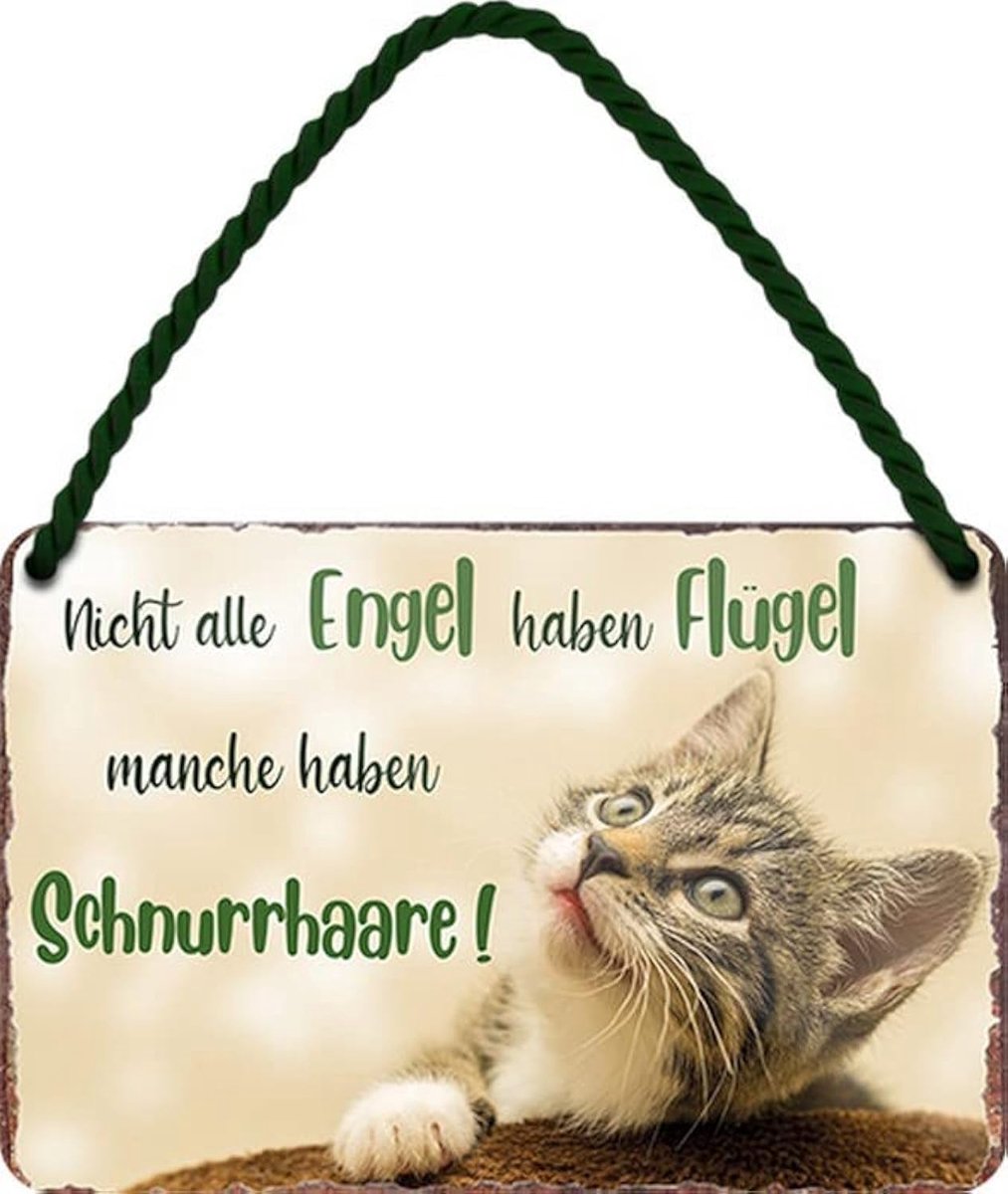 Blikken bord - Sommige engelen hebben snoerhaar - grappige spreuk als cadeau-idee voor katten vrienden voor verjaardag, Kerstmis als decoratief bord 18 x 12 cm hangbord HS815