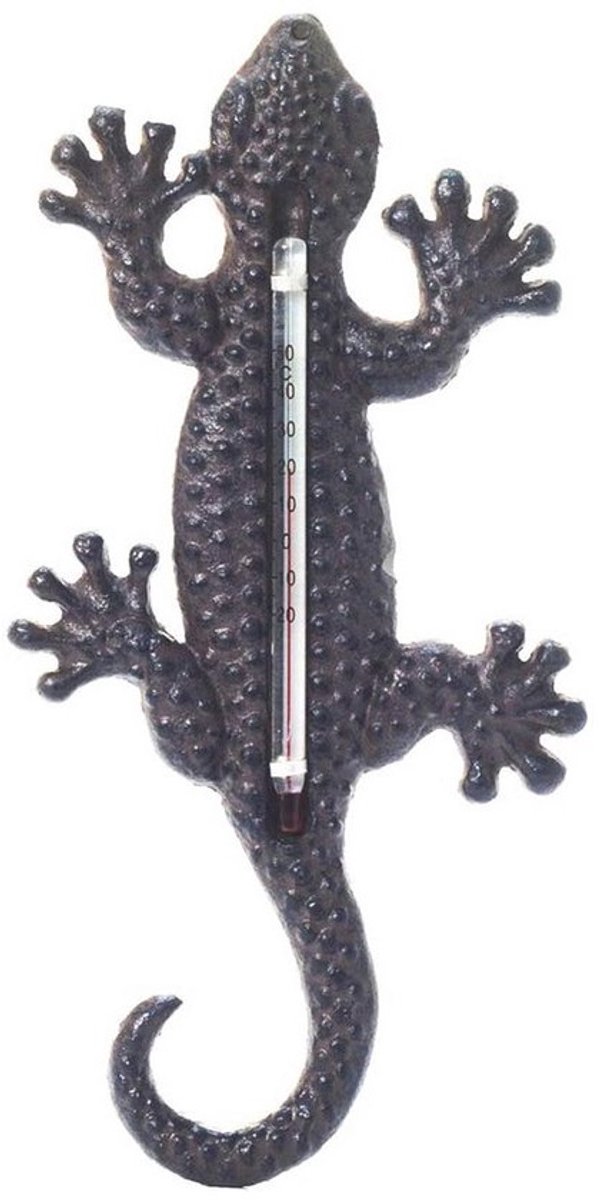 Hagedis thermometer voor binnen en buiten, 22 cm hoog