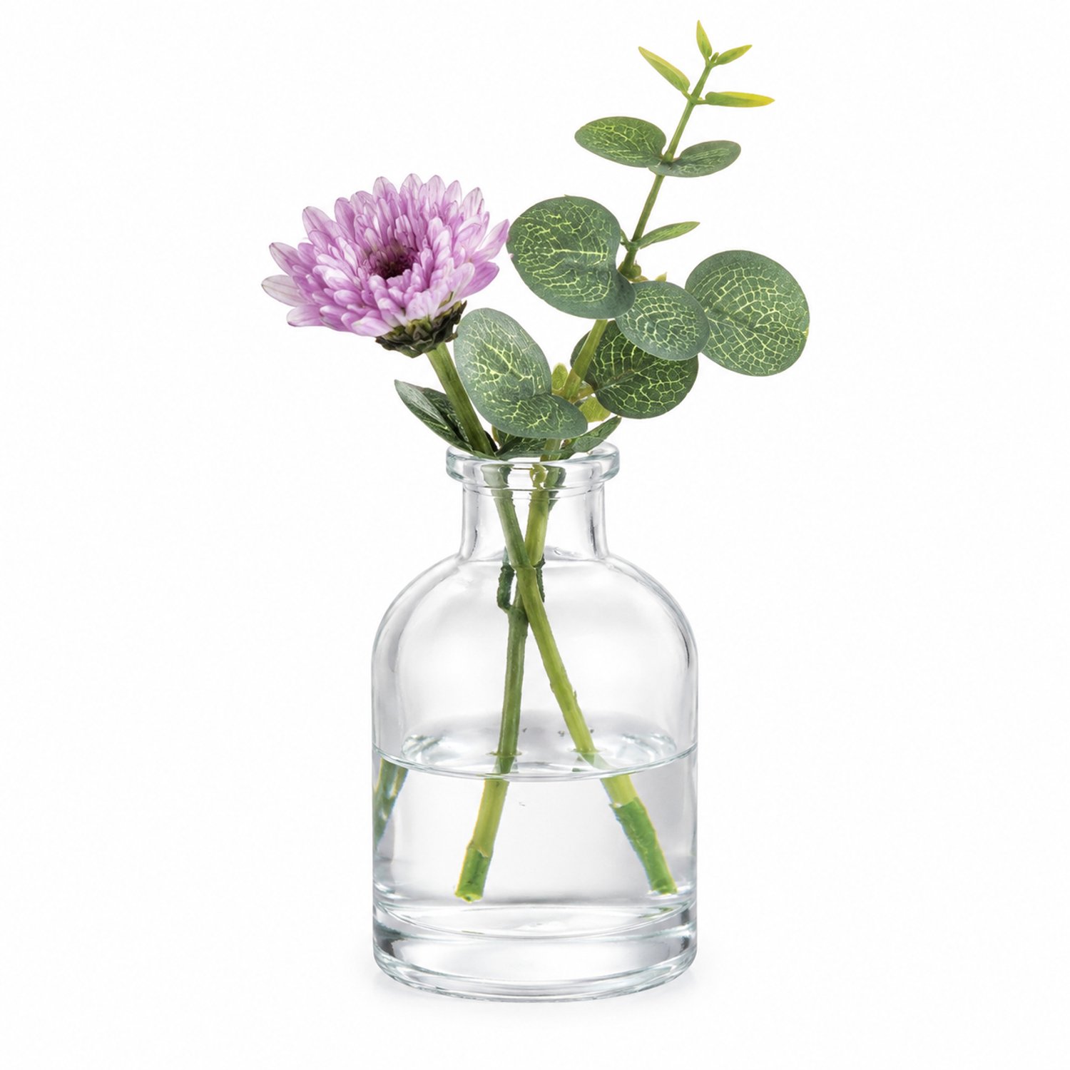 SWGOTA Set van 5 transparante glazen vaasjes - Verschillende retrovormen voor kunstbloemen - In kartonnen doos