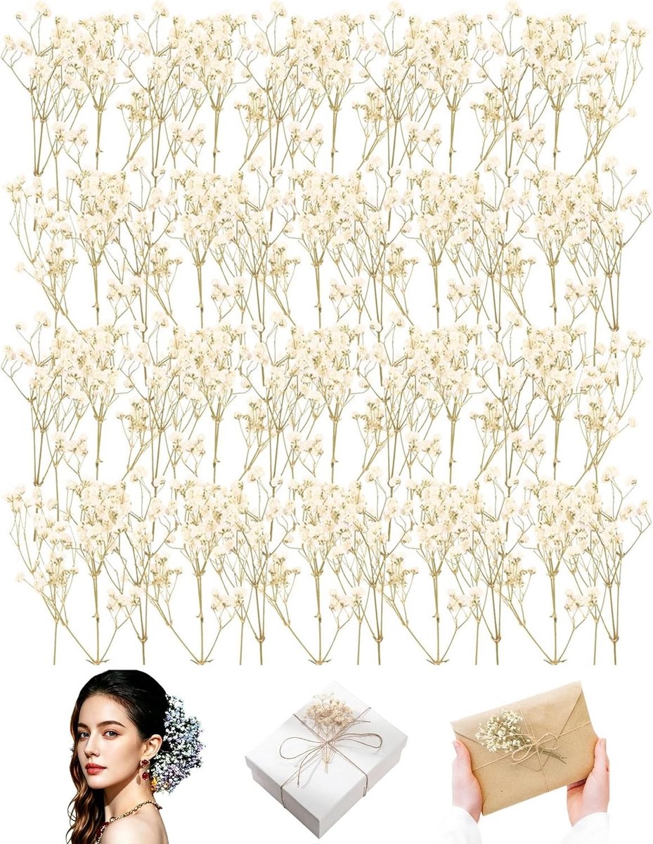 50 Stuks Getroogd Schleierkraut voor Creatieve Projecten, DIY Bloemstukken, Fotoramens en Kaarten (Wit)