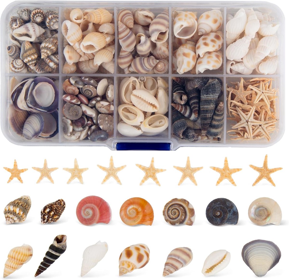 250 Stuks Kleine Zee Schelpen voor Ambachten, Natuurlijke Decoraties, Inclusief Zee Slakken en Zeesterren voor Sieraden, Vaasvullers en DIY Projecten