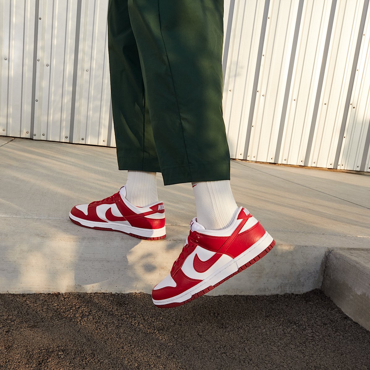 Nike Dunk Low Next Nature – /Gym Dunk Lifestyle Dames Sneakers voor Vrouwen Wit