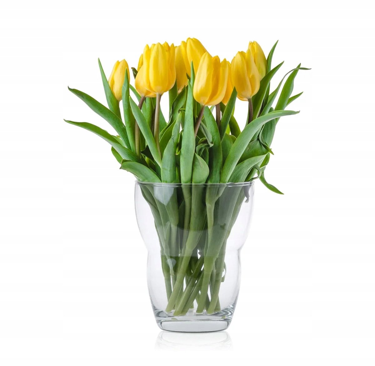 Transparante Glazen Vaas 19 cm - Stijlvolle Decoratie