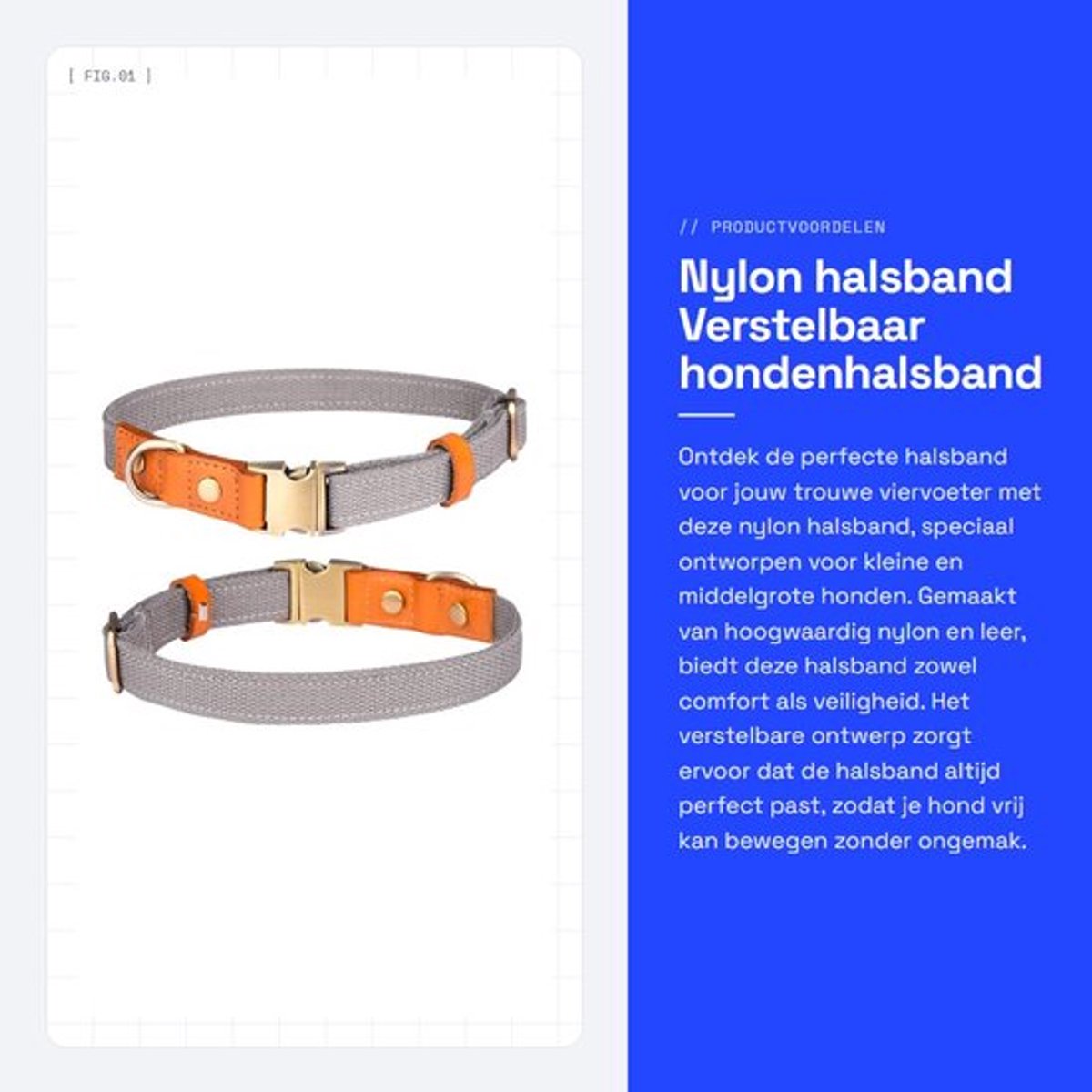 Dailygoods- Halsband Verstelbaar - Nylon/Huisdierhalsband - Roestvrij Stalen Gesp