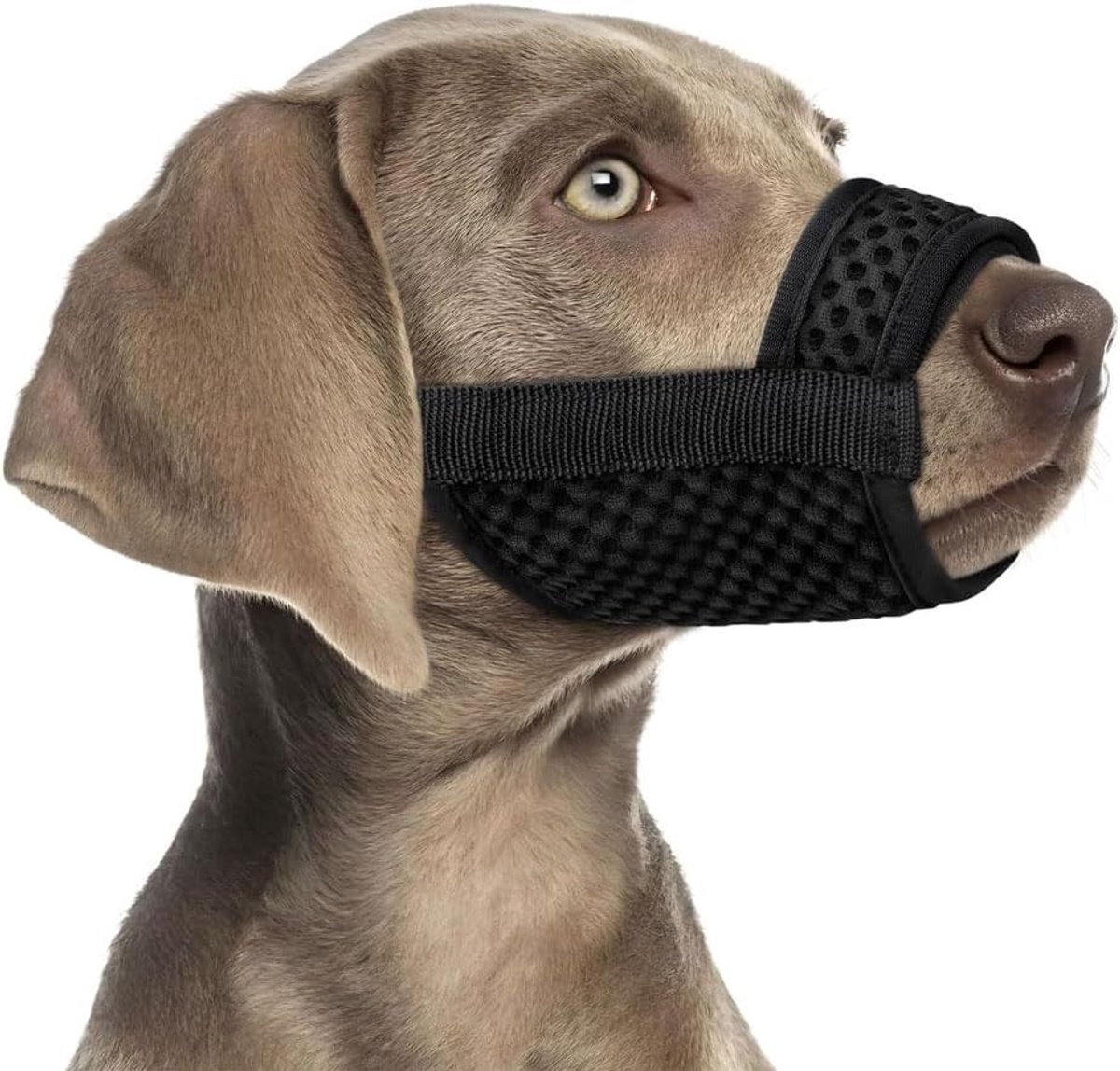 Ademhalingsvriendelijke, verstelbare hondenmuilkorf van nylon met snelbinders voor kleine, middelgrote en grote honden