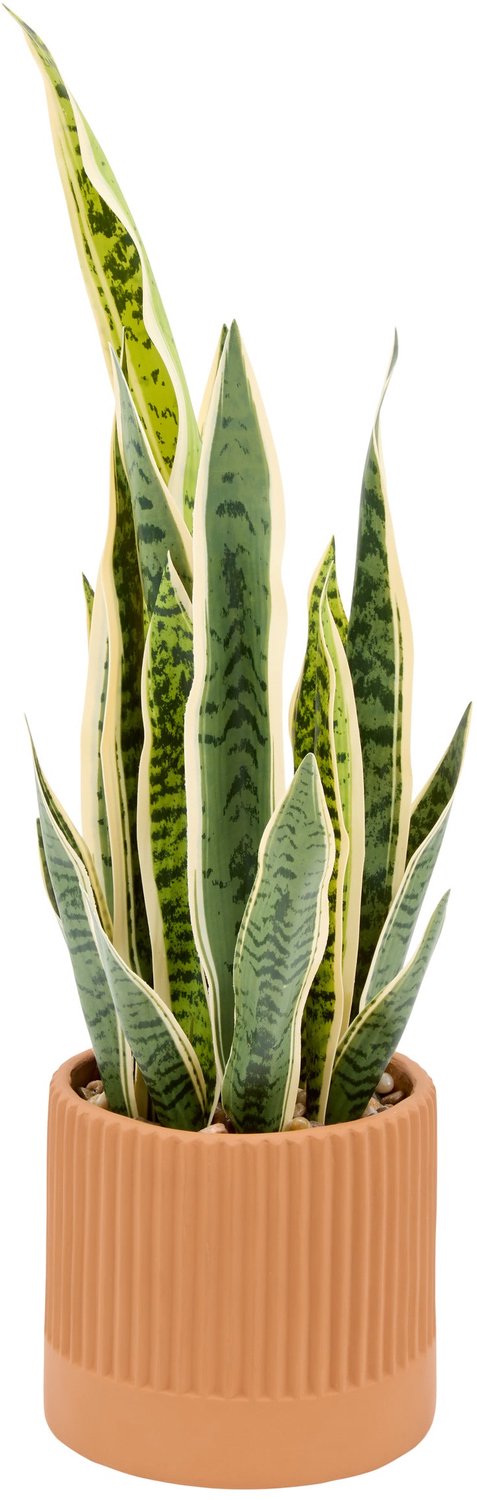 Atmosphera Sansevieria Nippo Kunstplant met Pot - Ø21xH78cm - Oranje Groen