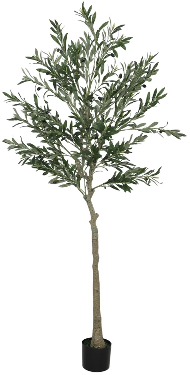 ZYLARO Kunstolijfboom - 180 cm - 900 bladeren - 40 olijven - Stevige bloempot - Groen