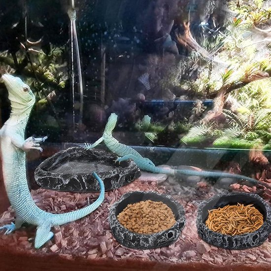 Reptiel Waterschotel Hars Gesimuleerde Rotskom voor (Vierkant — afbeelding 4