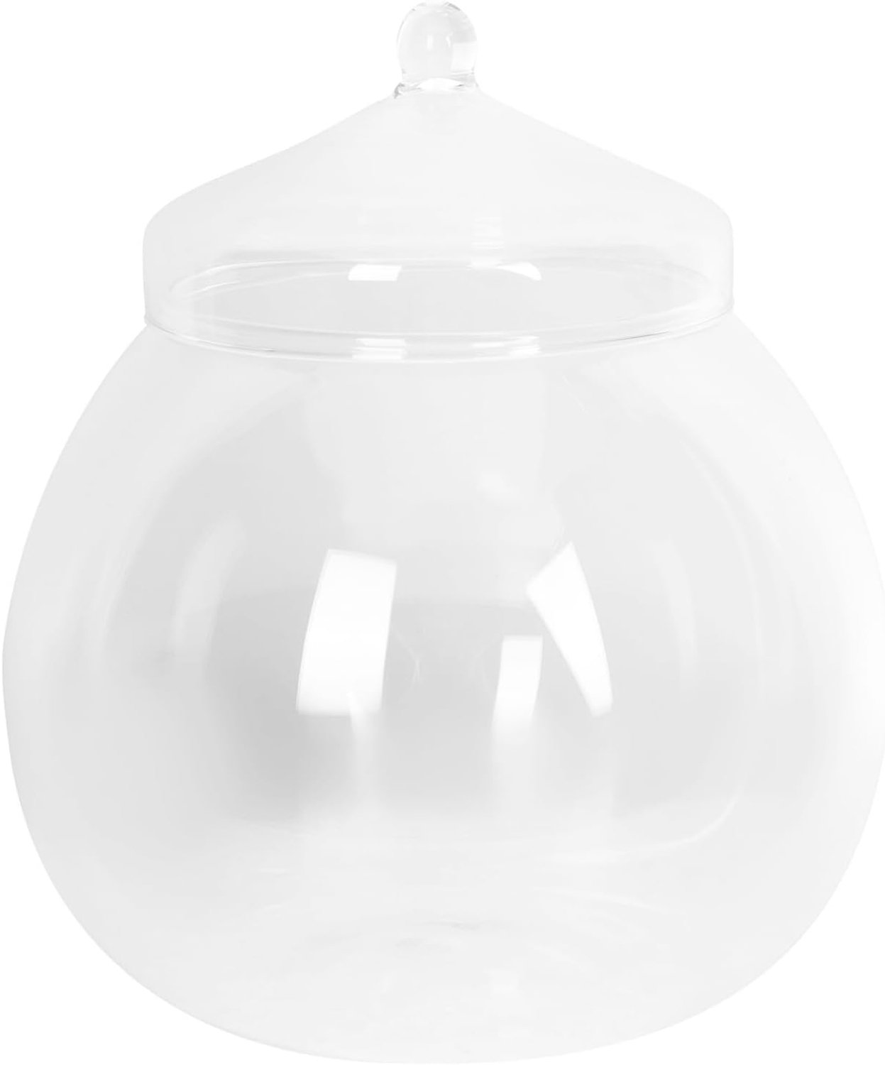 Ecologische Glazen met Deksel Micro-landschap Terrarium voor Mosplanten Transparante Decoratieve Opbergfles met Oppervlak Compacte DIY Groene Plantenhouder voor Binnen