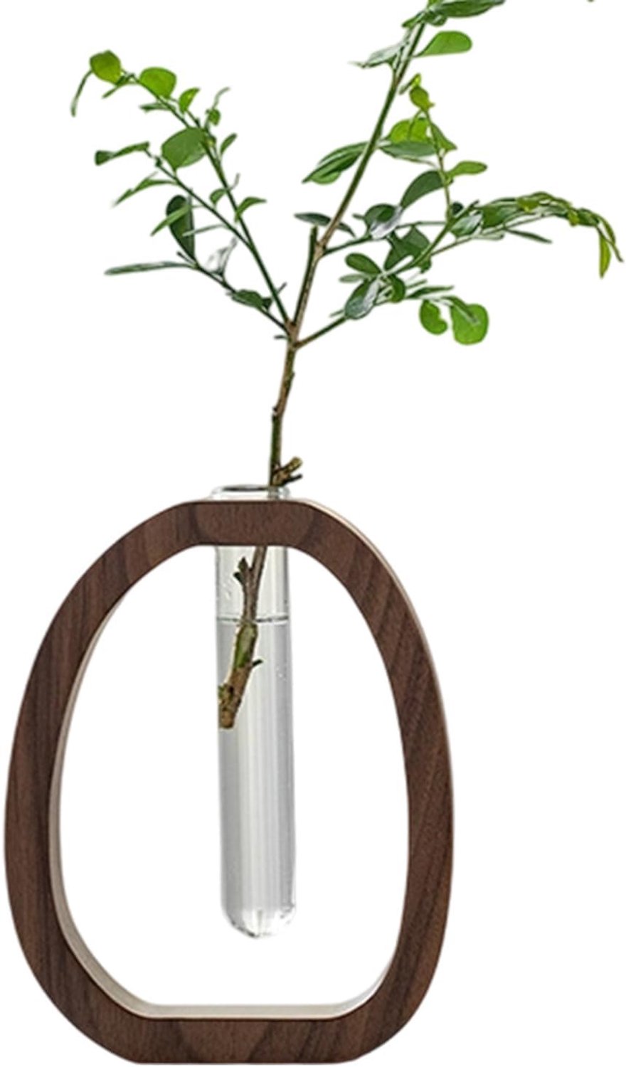 Hydroponische Vaas Decoratie, Tafelstukken, Middelpuntstukken,