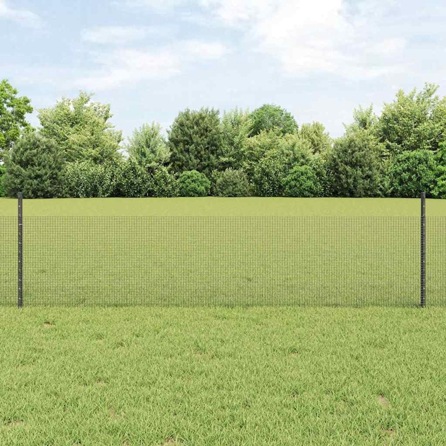 Gelaste draadhek, tuinhek net, grijs 25 x 0,5 m