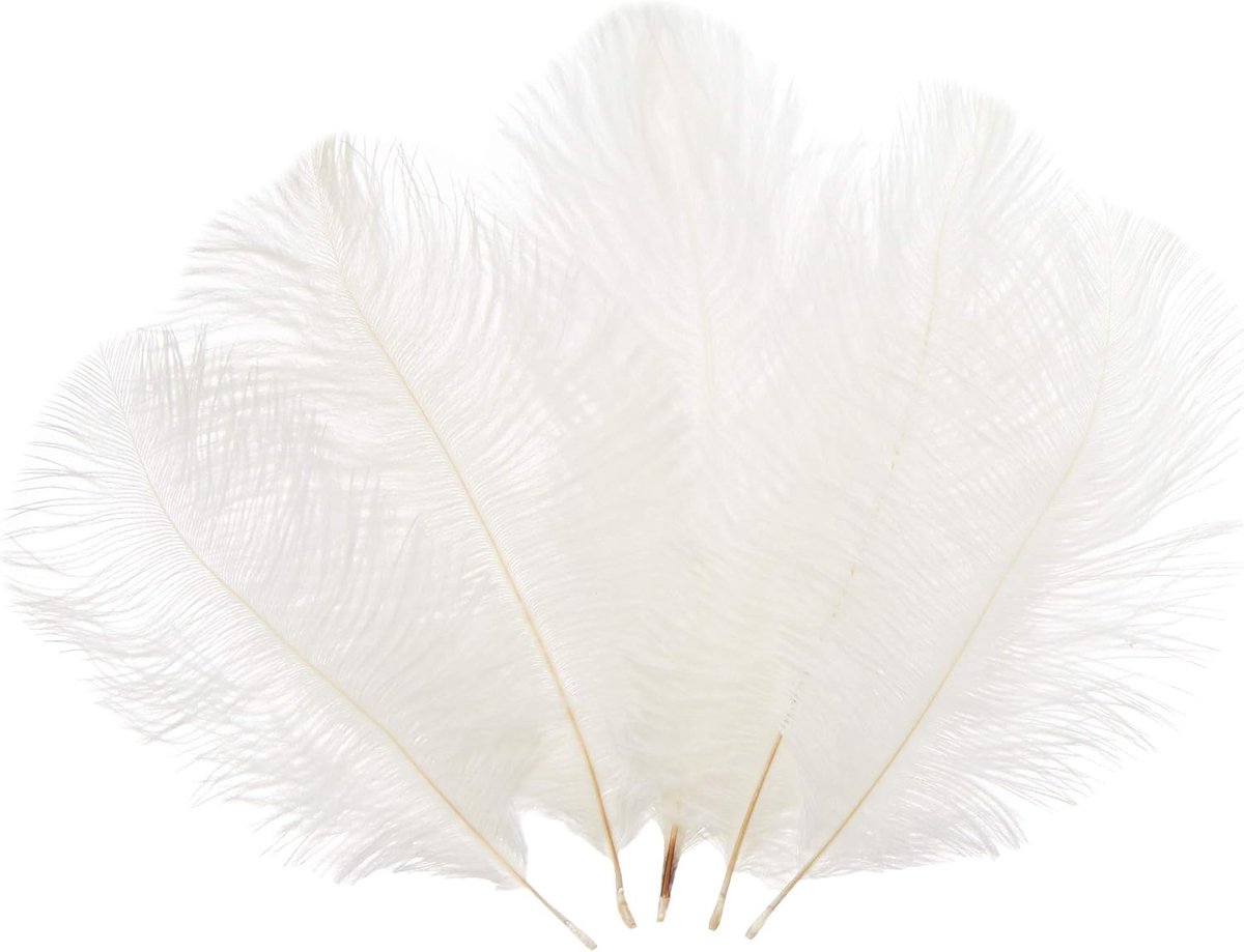 Ostrich veren 15-20cm - wit - set van 10 - perfect voor trouwversiering - ShopVlot