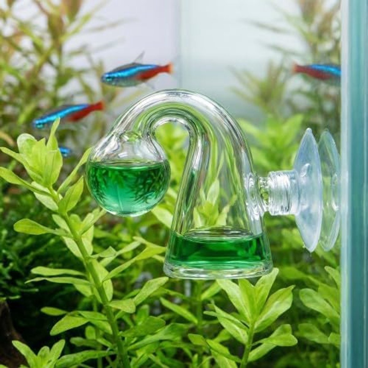 Continue test Aquarium Drop Checker, CO2-monitor van glas met zuignap voor beplante aquaria