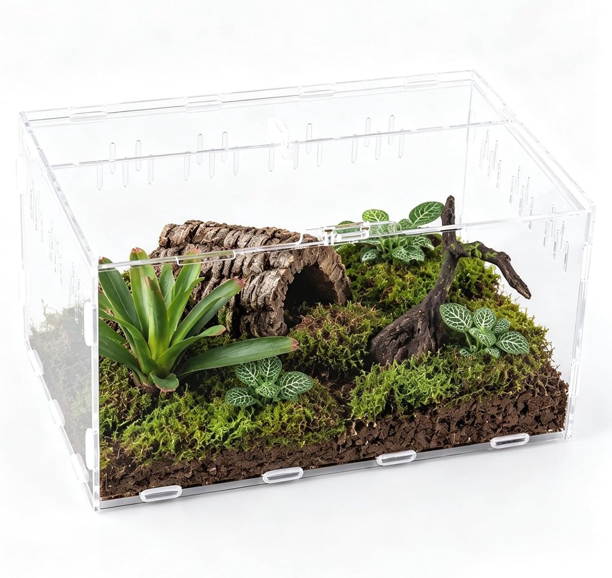 acryl, terrarium, 30 x 20 x 15 cm, met luchtgaten | Terrarium met volledig zicht, optisch aantrekkelijk, licht en robuust, drukvast en duurzaam.