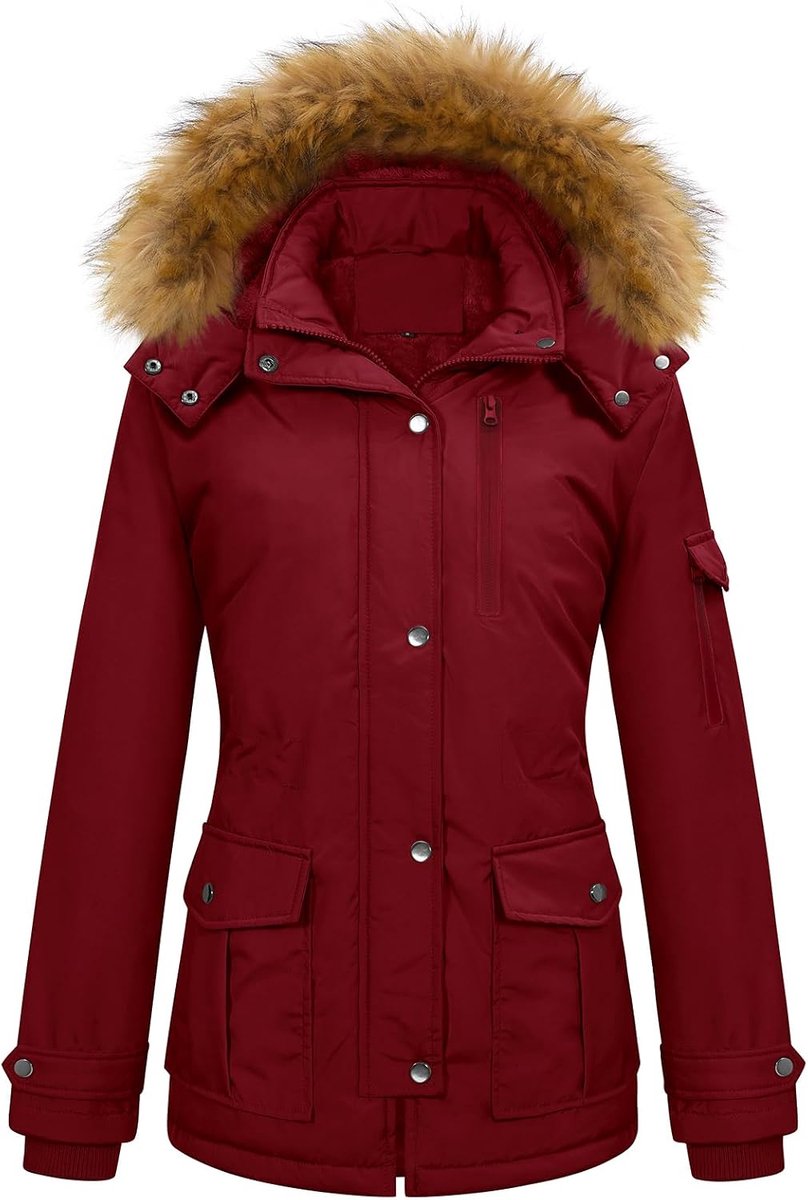 heekpek Winterjas voor dames, warm, waterdicht, korte gevoerde damesmantel met capuchon, winterparka, winddichte fleecemantel, thermojas met 5 zakken