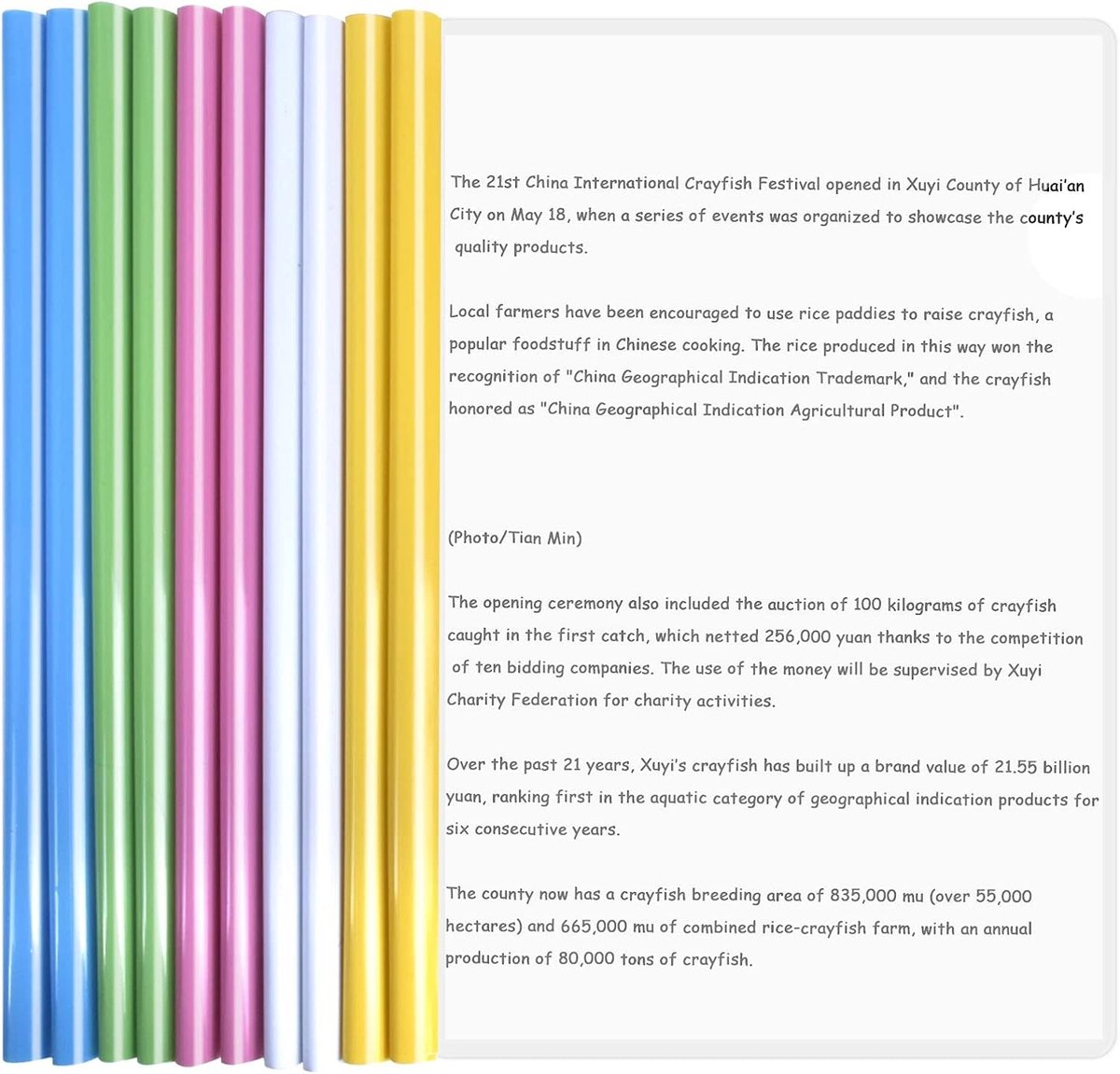 Transparante A4 Sliding Bar Mappen - 10 Stuks, Multifunctionele Documentenfolders voor Thuis, School en Kantoor, Ideaal voor Archivering en Organisatie