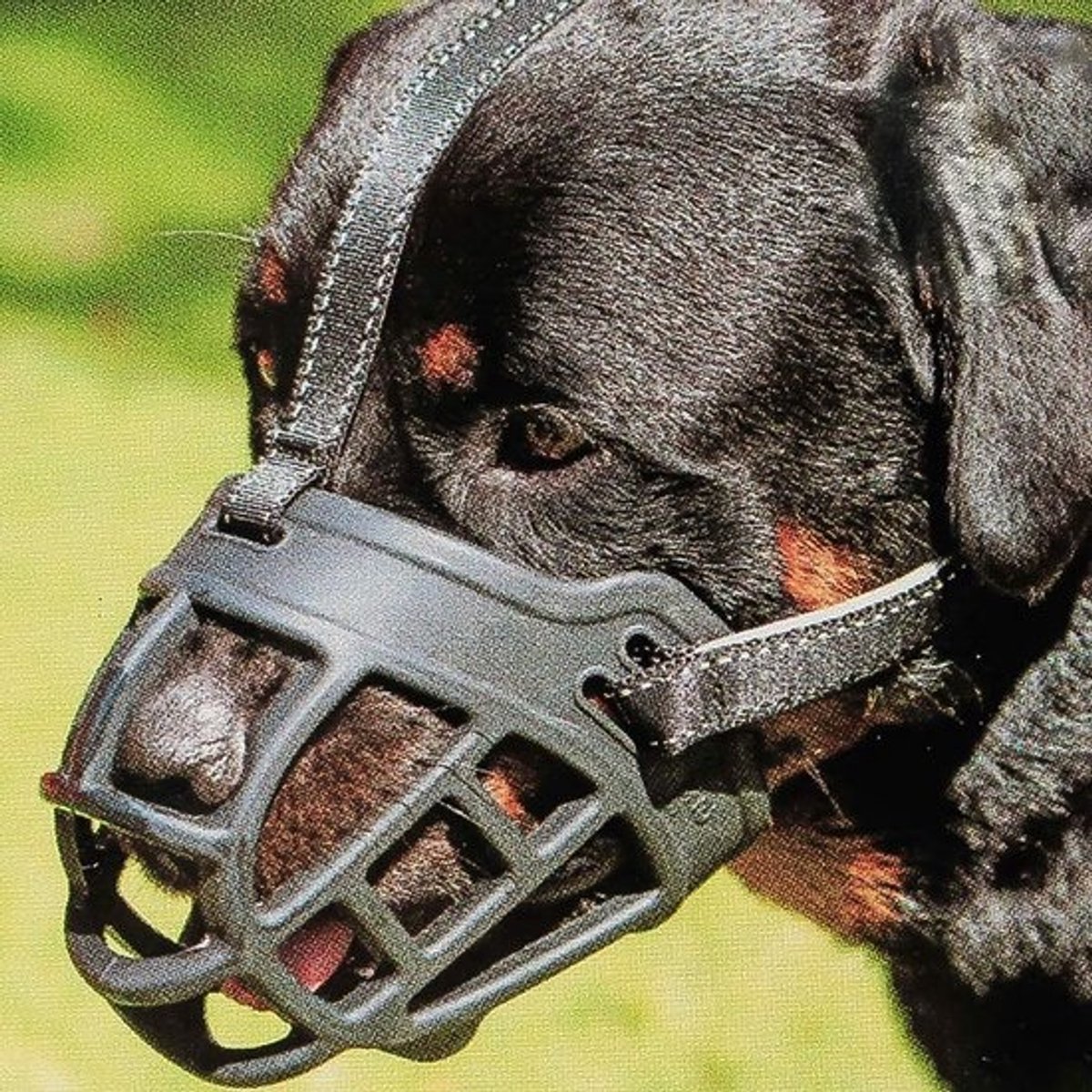 Hondenmaulkorf van zacht siliconen voor kleine honden, voorkomt bijten en blaffen