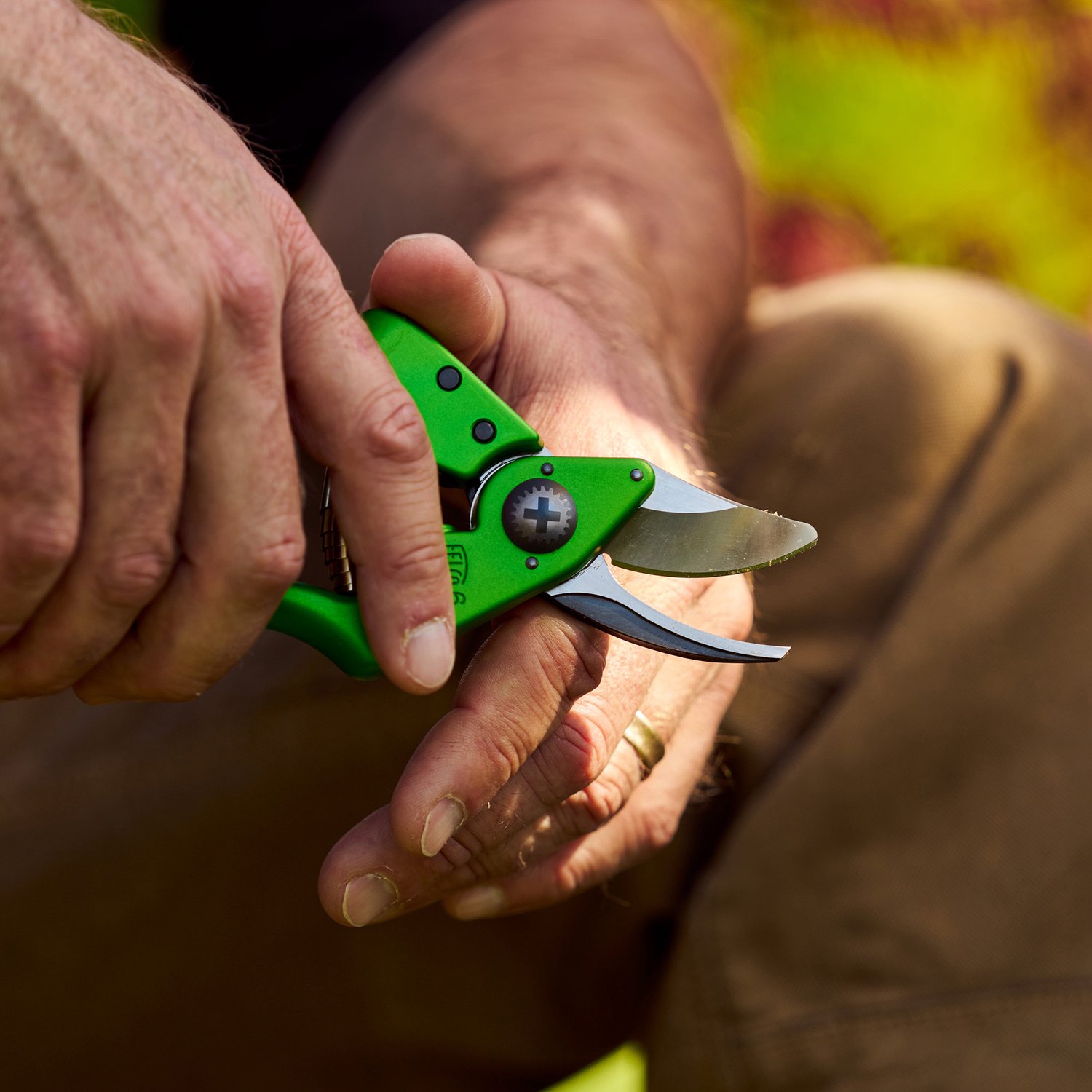 Felco 6 Color Edition Sécateur - Pour Mains Moyennes