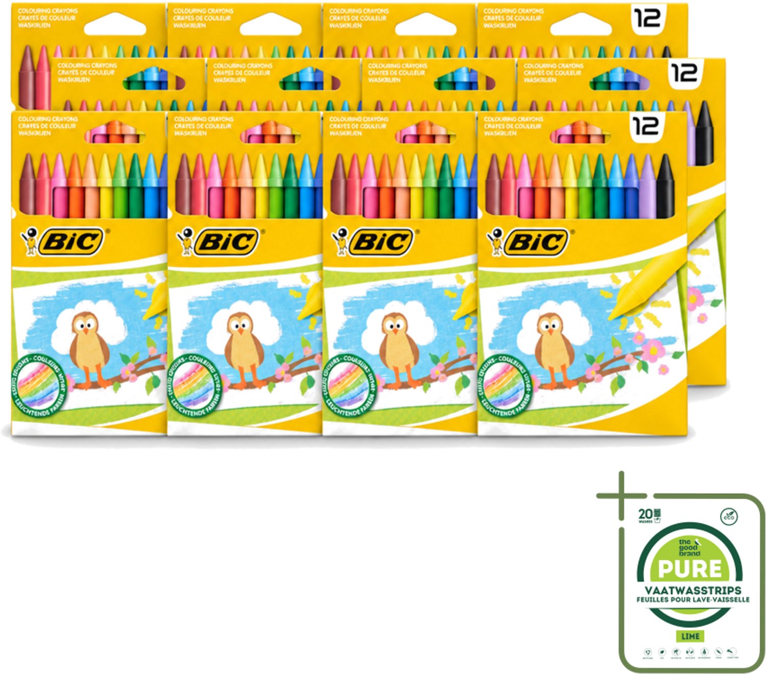 12 x BIC - Waskrijt - Diverse Kleuren - 12 Krijtjes - Grootverpakking - Waskrijt - Kleurkrijt - Creatief Schrijven - Tekenen - Kleurrijke Krijtjes