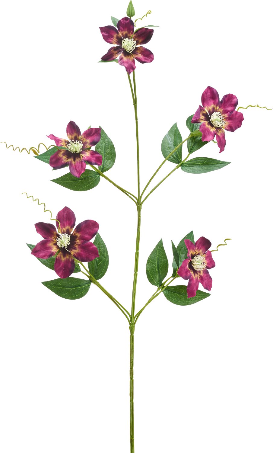 Easyplants | Kunstbloem Celematis 78 cm paars | Zijde | Nepbloemen | paars | Onderhoudsvrij | Kant-en-klaar