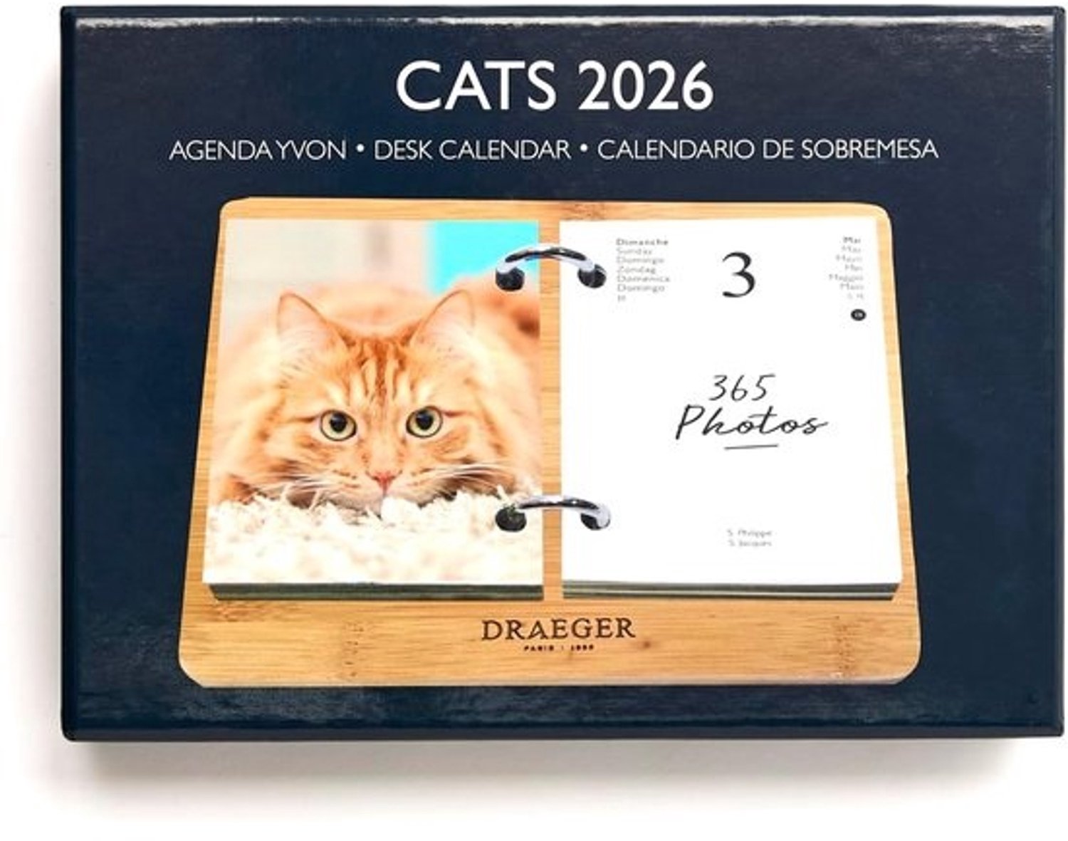 Agenda 2026 op Sokkel 20x15 cm - 12 Maanden - Thema Katten - FSC Papier - Afneembare Illustraties