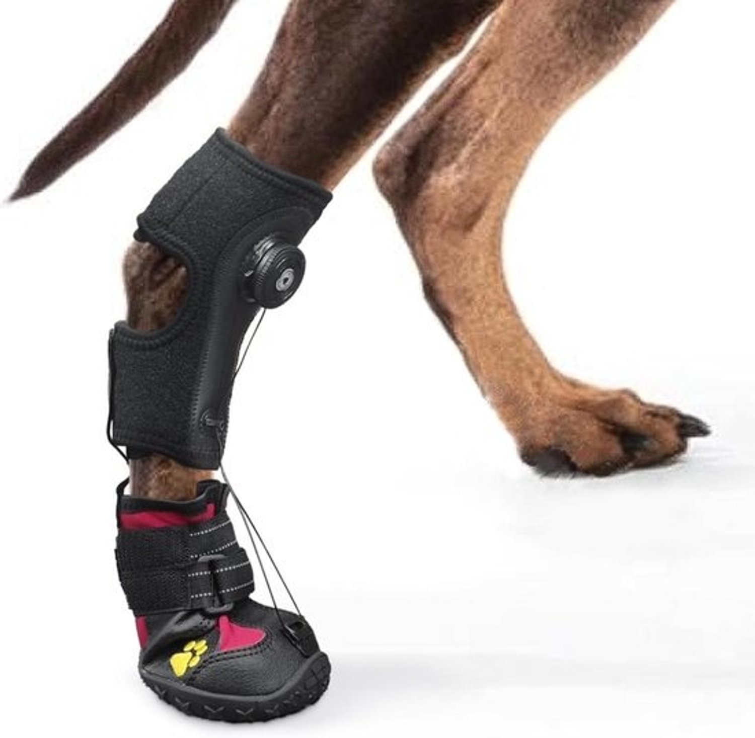 Honden Pootsteun - Hondenbrace - Ondersteuning Lopen - Verstelbare Draaiknop - Maat XL - Zwart