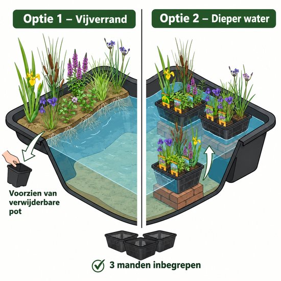 Illustratie van twee opties voor een vijver met waterplanten: Optie 1 met vijverrand en Optie 2 met dieper water. Een mand wordt toegevoegd.
