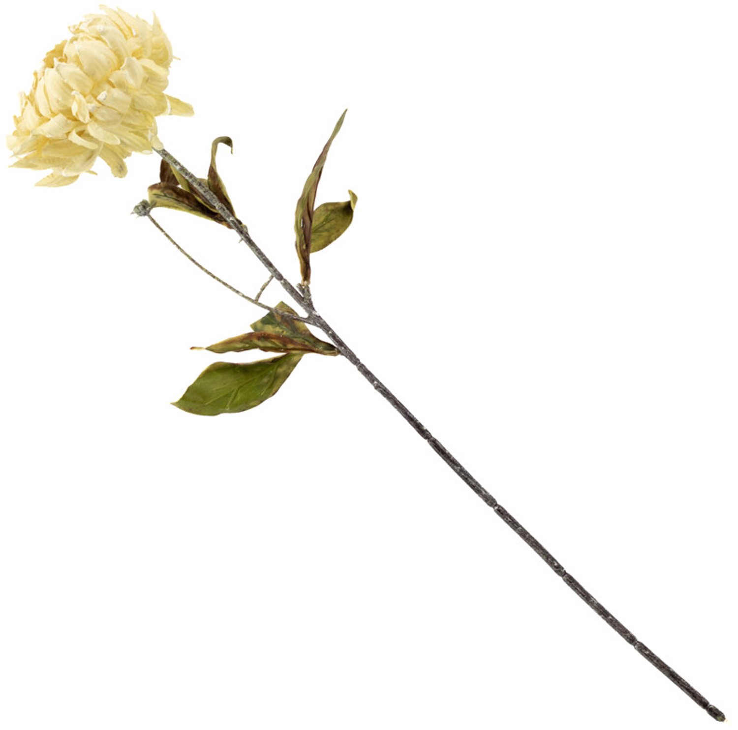 Kunstbloem gedroogde pioen 65cm creme