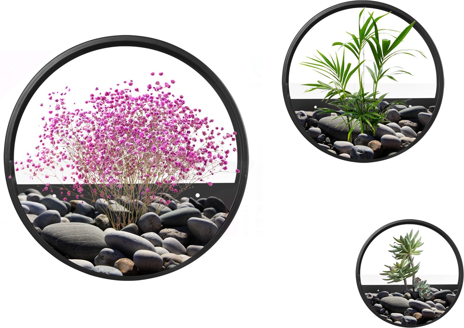 Sunona Wand-plantenbakken - 3-delige set - Van staal en acryl - Ø30,5, Ø20,5 en Ø15,5 cm - Zwart