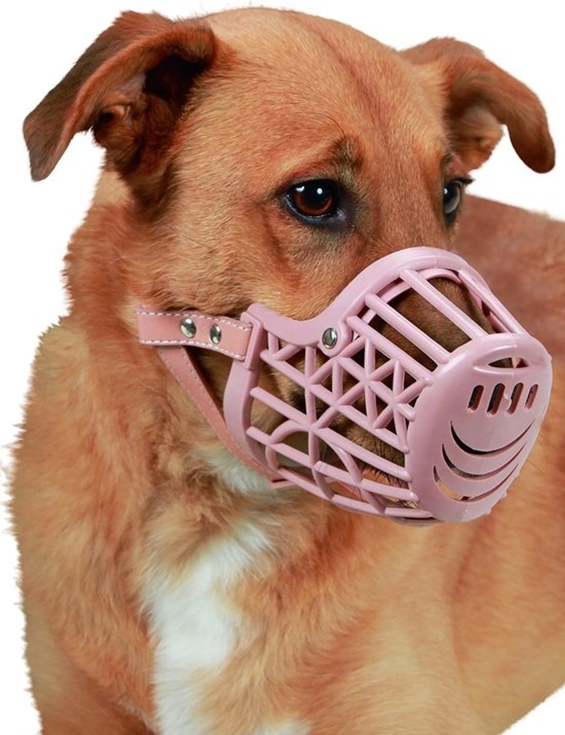 Hondenmuilkorf - Kunststof Mondbeschermer - Veiligheid voor Hond - Verstelbare Band - 18 cm - Bruin