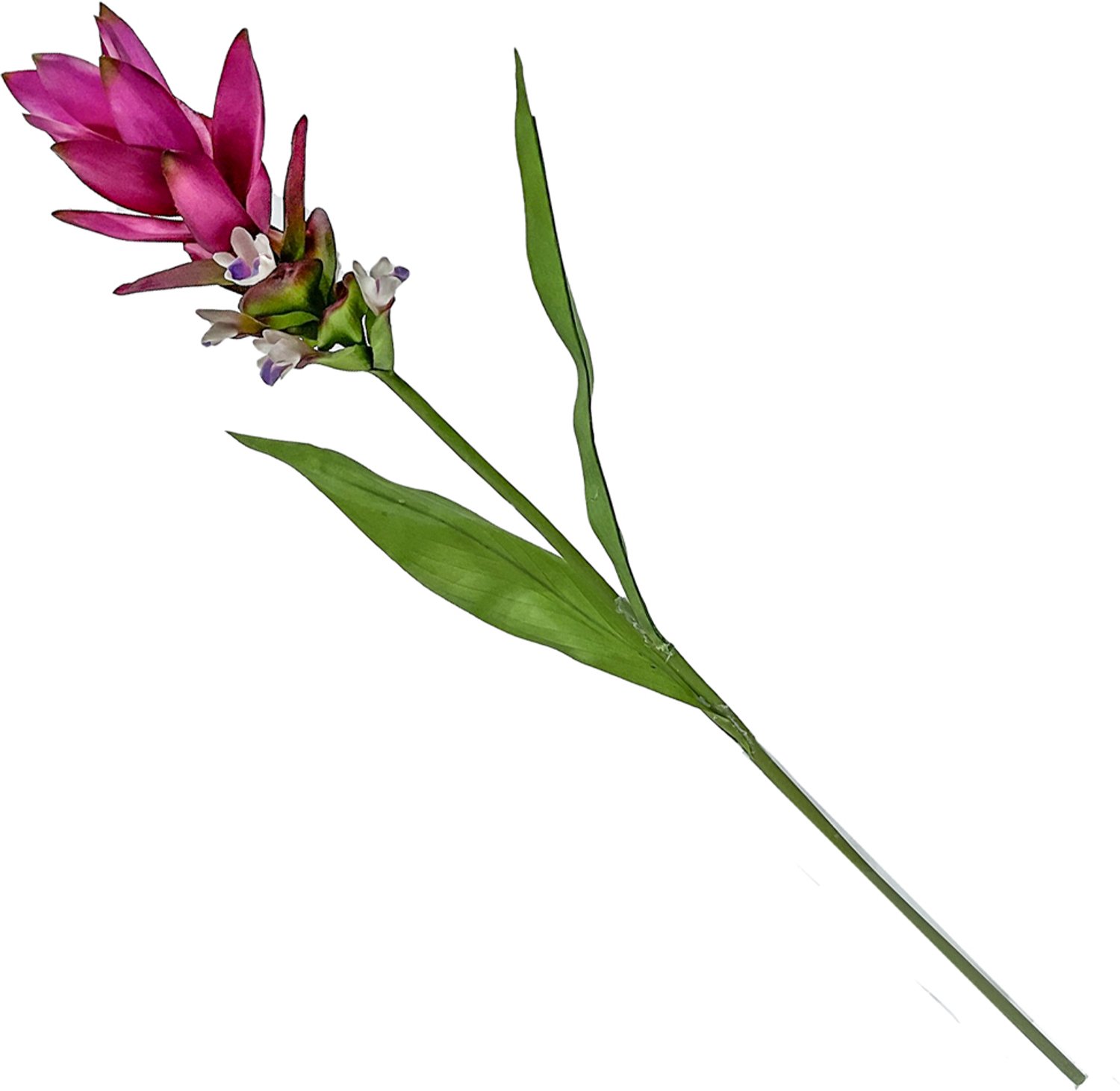homebound by ky Kunstbloem Siamese tulp fuchsia | kunstbloem Roze