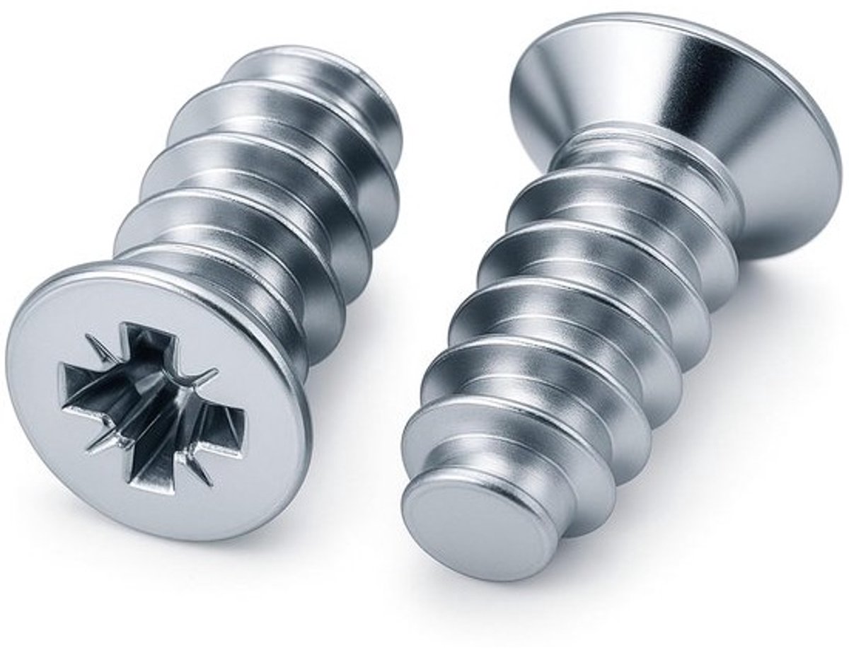 Euroschroeven - met kop - Montageschroeven - Voor het bevestigen van meubels - Wit verzinkt staal - 5 x 16 mm - Zilver
