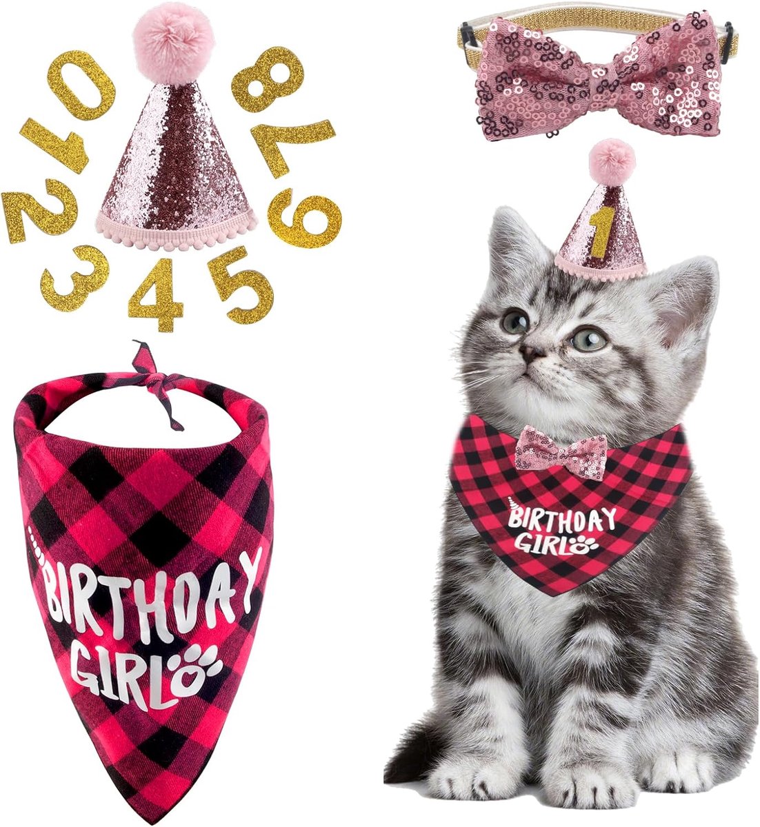 Verjaardagsaccessoires voor katten - Verjaardagshoed met cijfers - Halsband en sjaal - ShopVlot