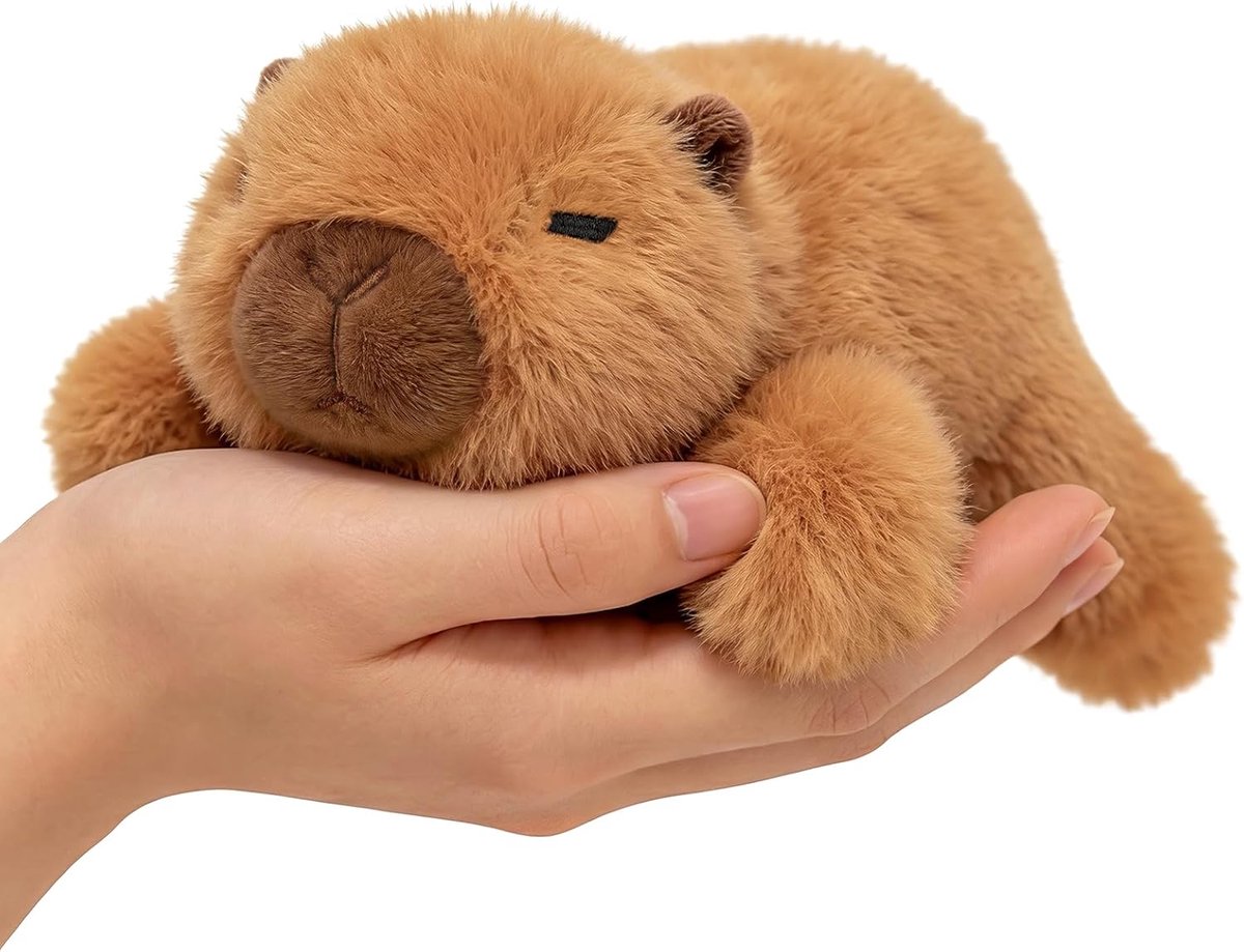 Shownicer Knuffeldier, schattige pluche dieren, klein, handig, zacht knuffeldier, decoratie voor het bureau, cadeaus voor kinderen en volwassenen (Capybara, 18 cm)