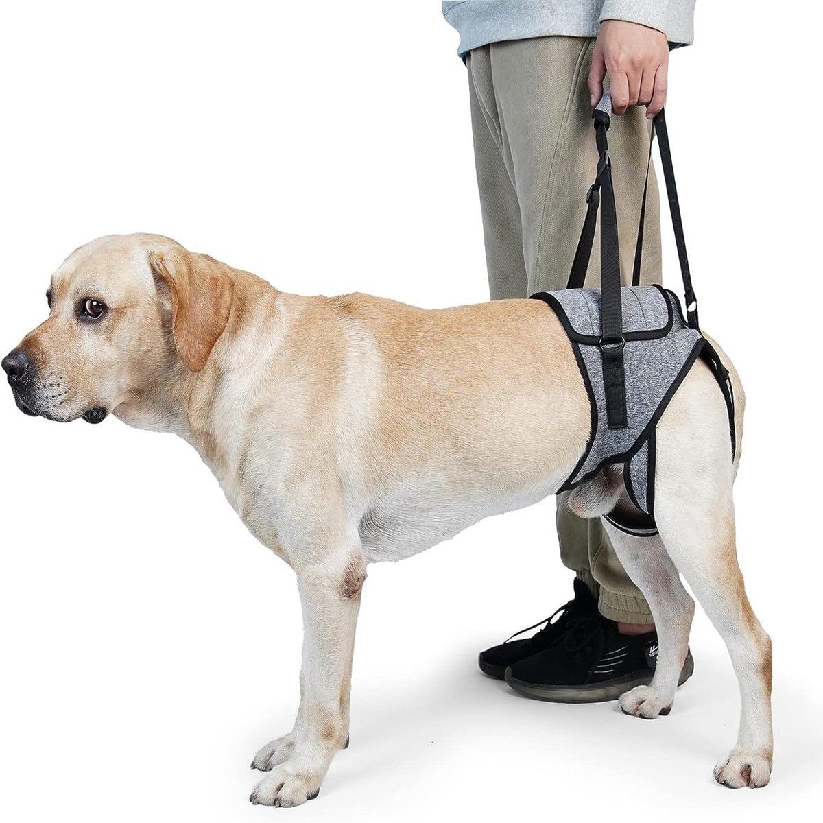 Hondentuigje voor het heffen van honden, harnas voor kleine, middelgrote en grote honden, harnas voor honden, verstelbaar zacht harnas voor artritisch gewonde honden (M)