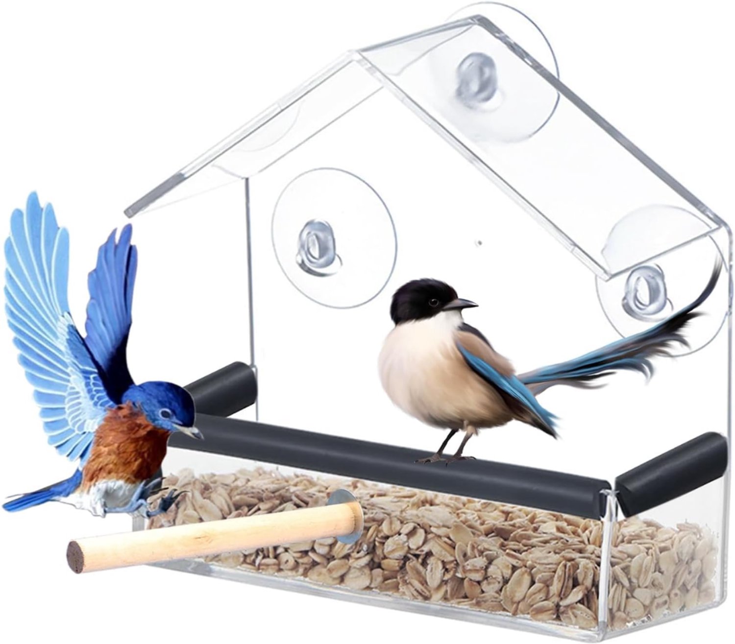 Levo® Vogelvoederhuisje raam - Vogelhuisjes - Doorzichtig met Zuignap - Vogels spotten - Vogel Voeder Huisje voor aan het Raam - Transparant - 15cm x 15cm x 15cm