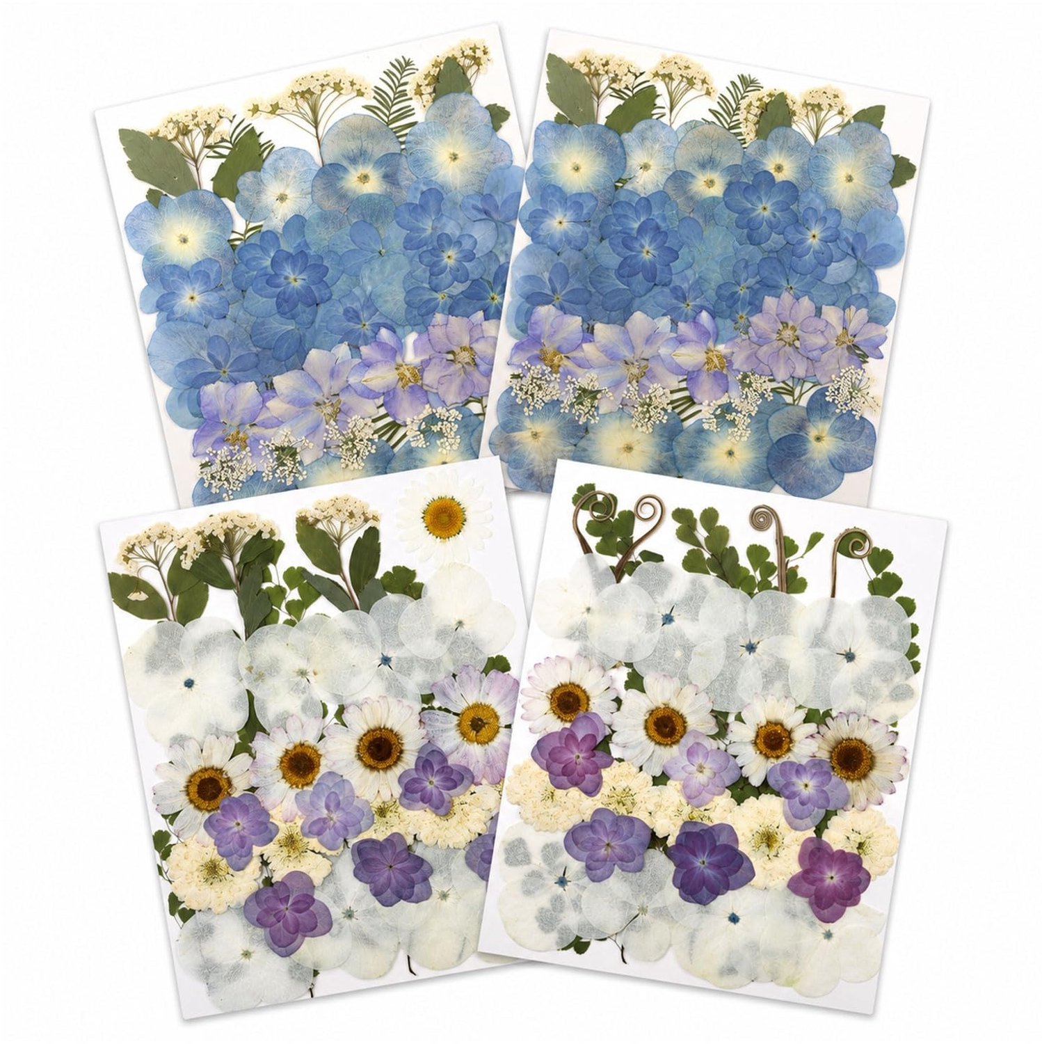 Famanu Geperste droogbloemen set van 140 stuks met pincet voor knutselen
