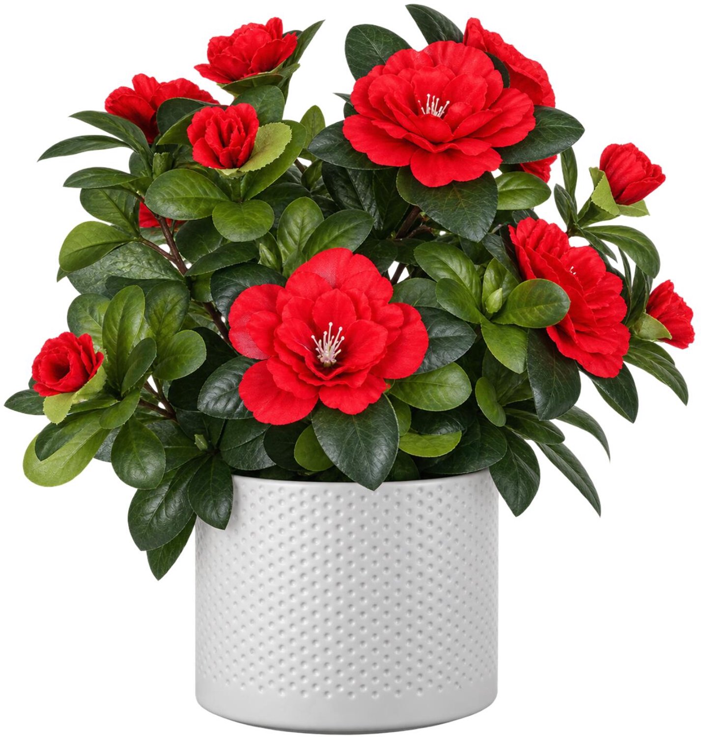 Mica Decorations Kunstplant - Azalea rood - H27 cm - in witte bloempot - keramiek - complete set van pot en plant - decoratie stuk