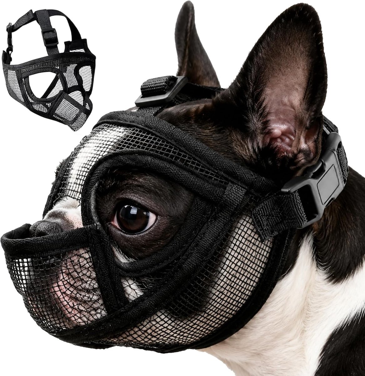 Muilkorf voor korte neuzen, ademend mesh-design, bijtbescherming en gifbescherming, verstelbaar voor Franse bulldog en mopshond (M)