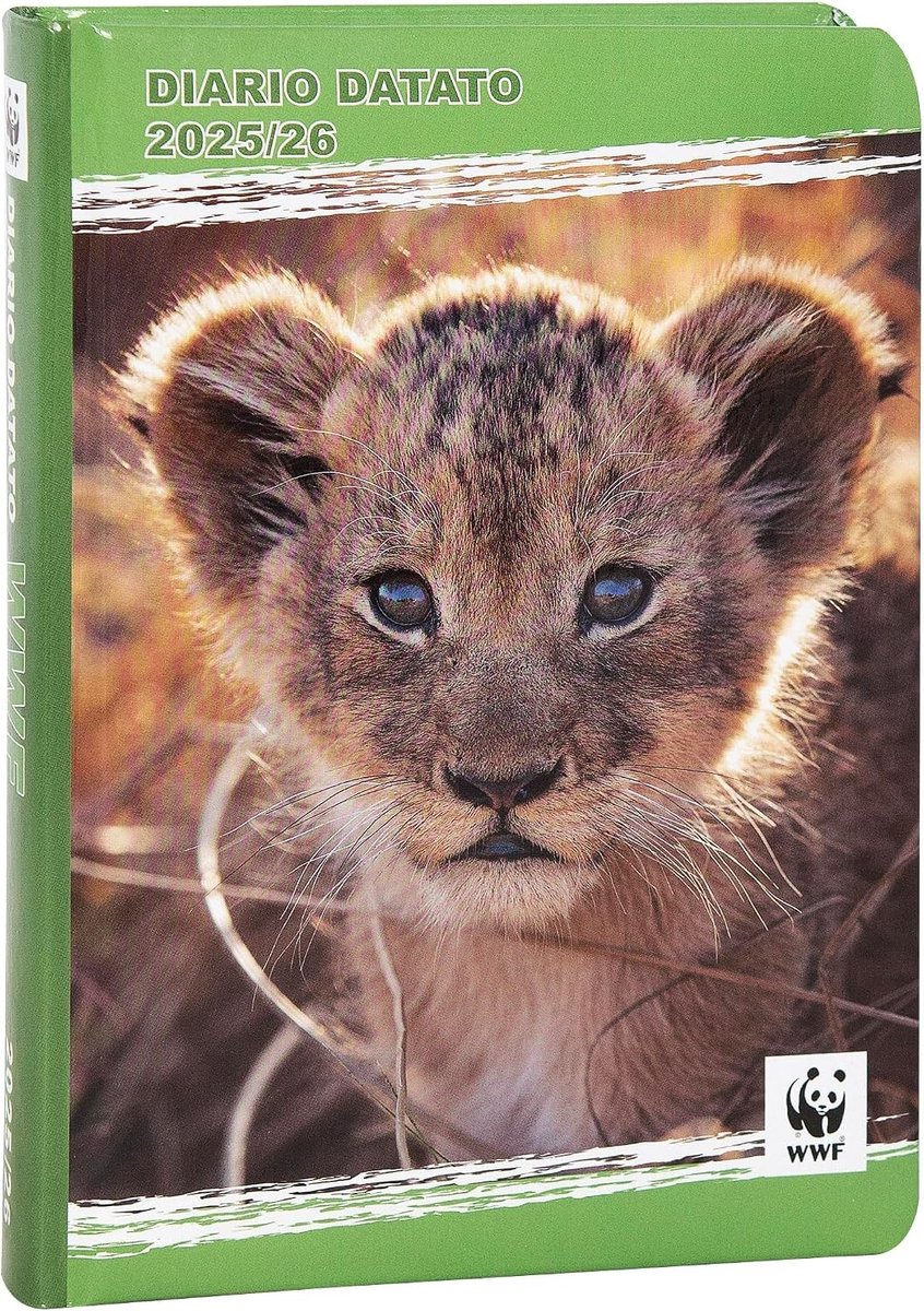 Schoolagenda 2026 2027 jongens - Hardcover - 13 x 13 x 17,8 cm - 352 Gekleurde Pagina's - Duurzame schoolagenda met natuurinspiratie