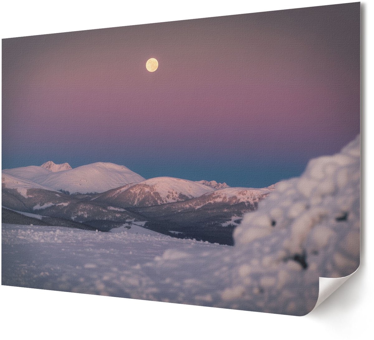 Coloray Polycanvas Wandposter - Een Paard Met Een Kroon, Fotografie - A4 - Bruin Design - Rechthoek - Wandkunstwerk - Woonkamer, Slaapkamer, Kantoor - Humoristisch