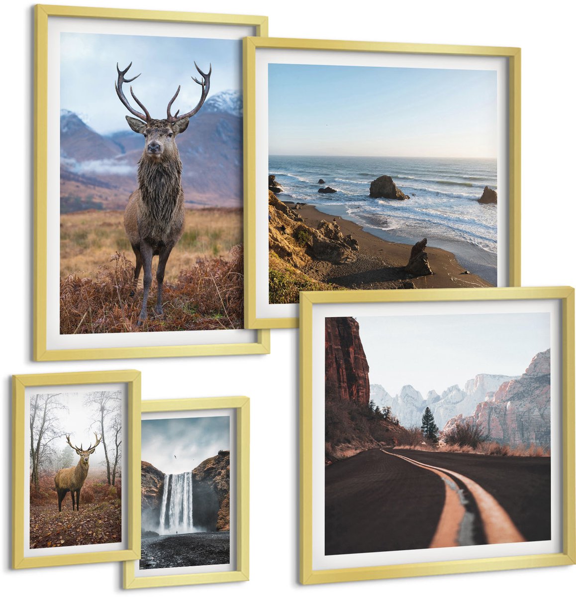 Coloray 5-Delige Schilderij Set - Natuur En Wilde Dieren In Pittoreske Landschappen - 50 x 50 cm, 20 x 30 cm En 40 x 60 cm - Muurdecoratie - Decoratieve Schilderijen - Wohnzimmer - Interieur Decoratie