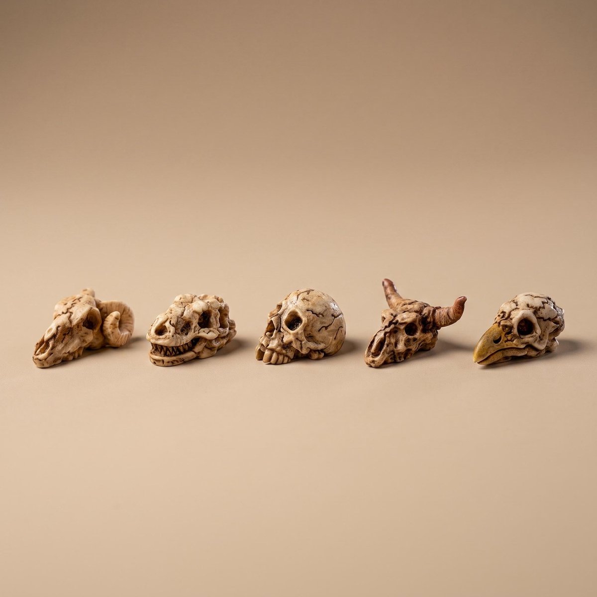 Mini Skull set - 5 stuks - Miniatuurfiguurtjes  2 cm ↑ 1 cm